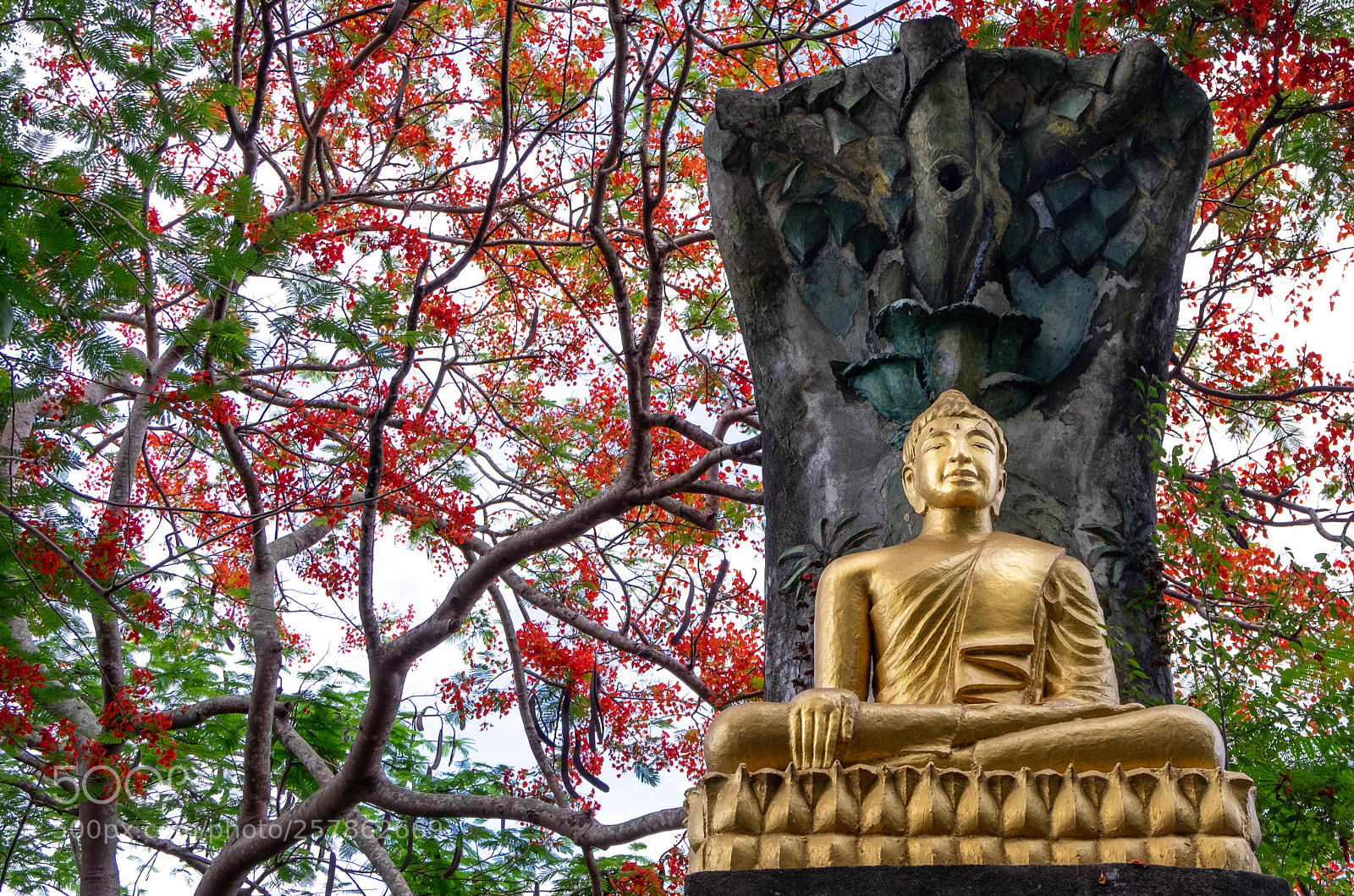 Fujifilm X-T10 sample photo. Tamarind blossoms photography