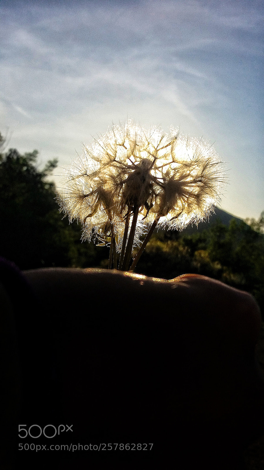 Samsung Galaxy J5 sample photo. Untitled photography