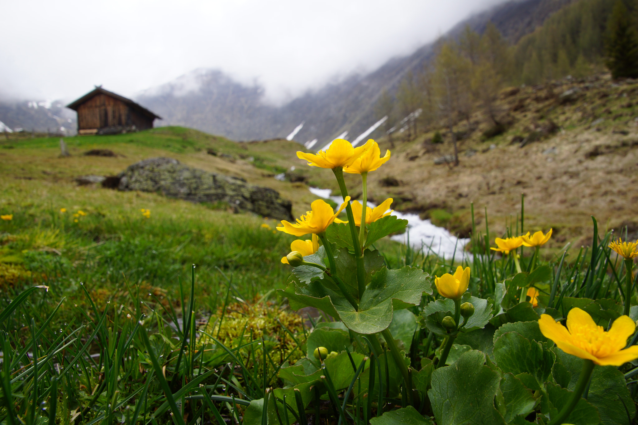 Sony SLT-A65 (SLT-A65V) sample photo. Ausflug südtirol () photography