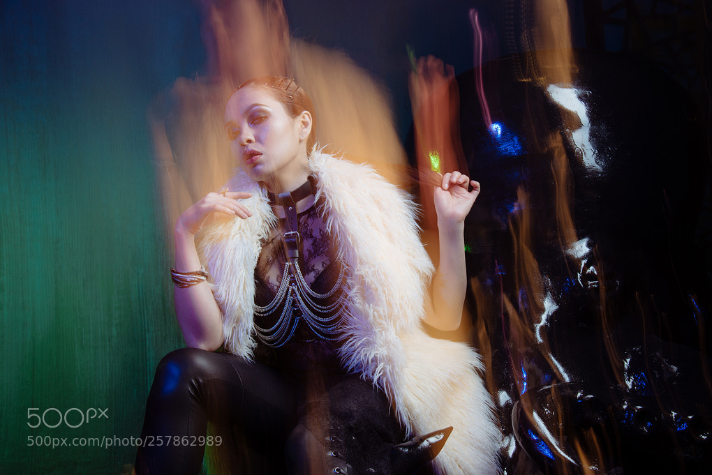 Nikon D800 sample photo. Explosion of color photography