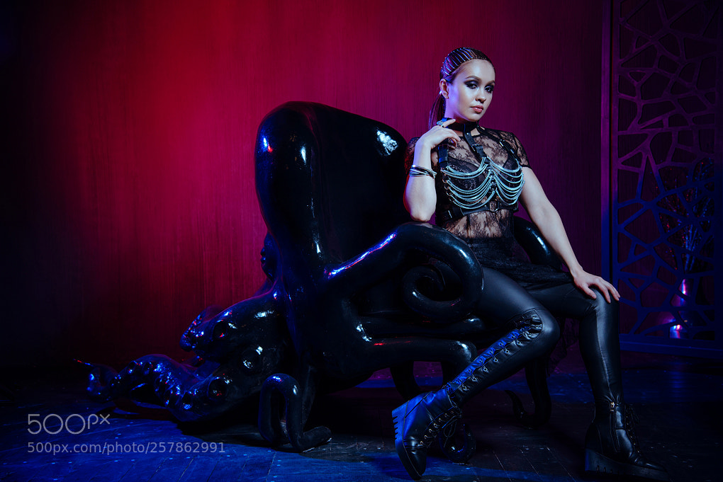 Nikon D800 sample photo. Octopus photography