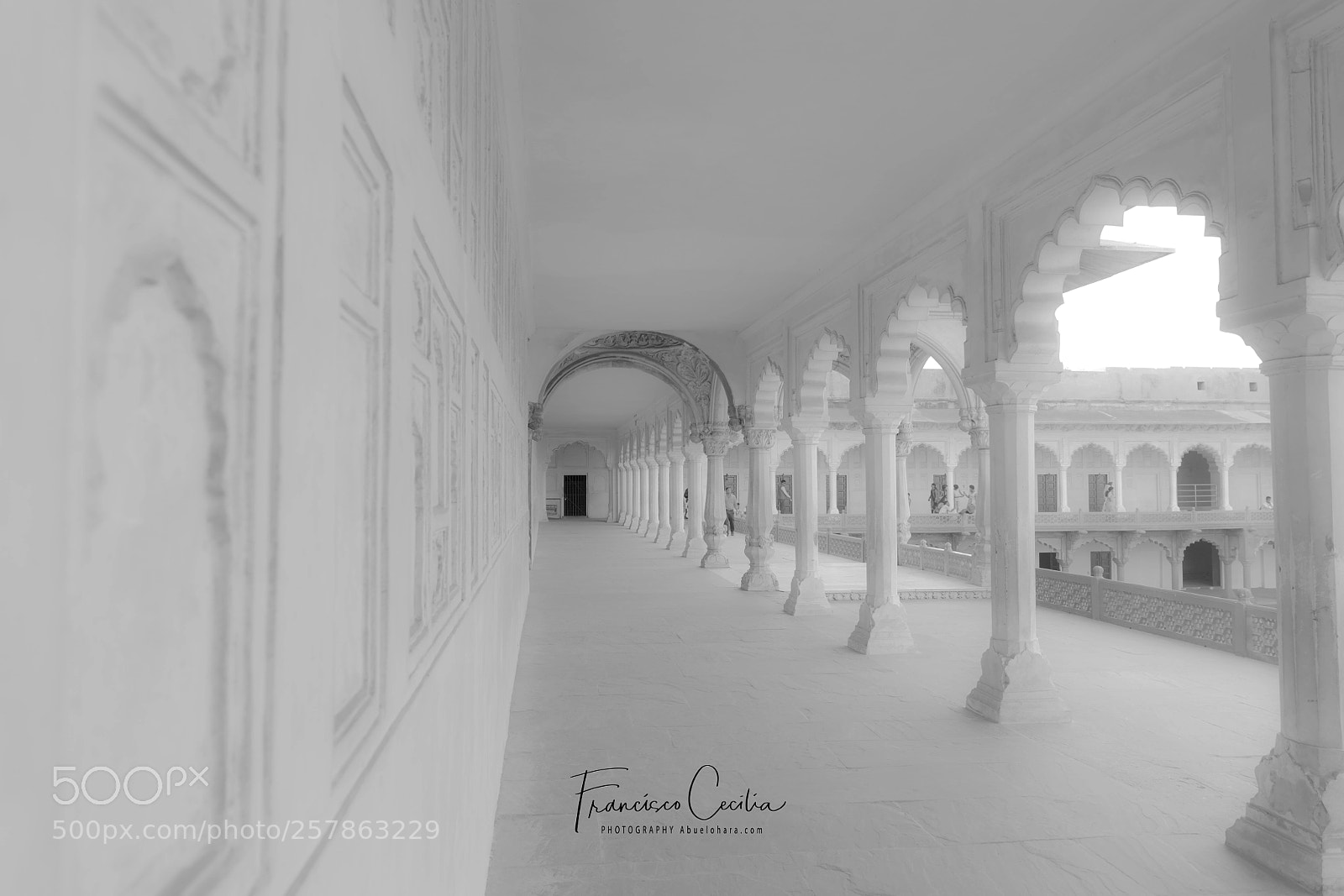 Nikon D850 sample photo. White palace photography