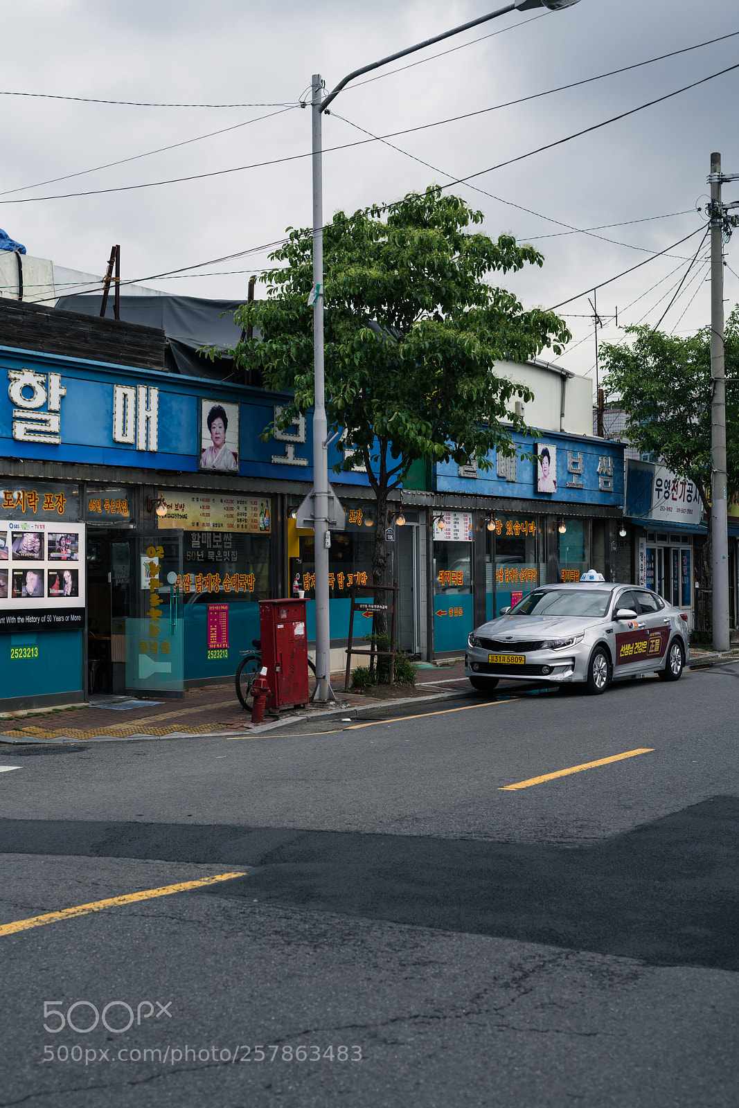 Nikon D850 sample photo. Waiting photography