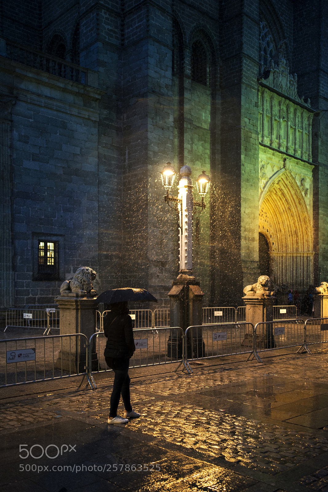 Nikon D800 sample photo. Procesión suspendida, Ávila photography
