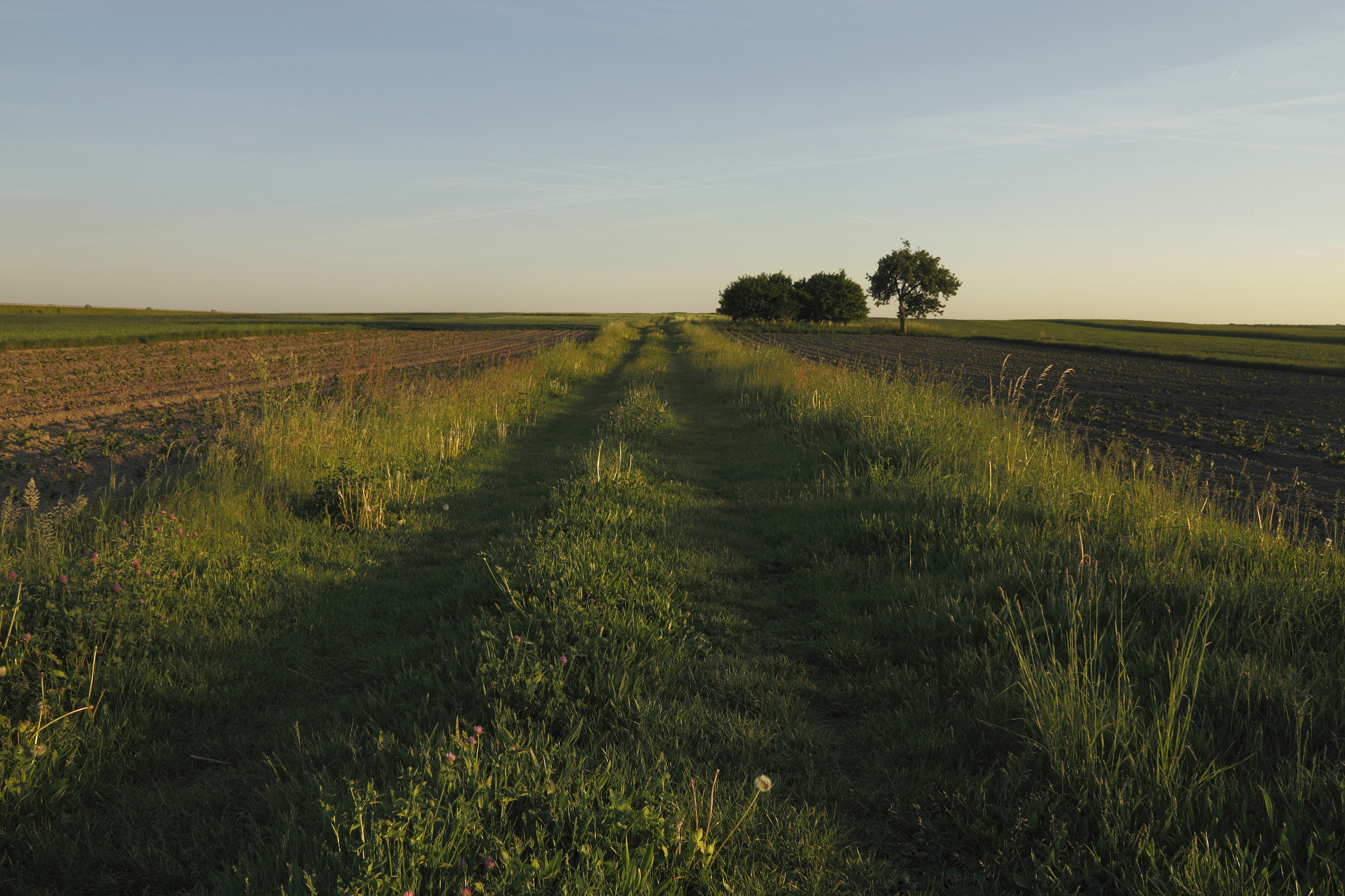 Canon EF-S 18-55mm F3.5-5.6 IS sample photo. A path photography