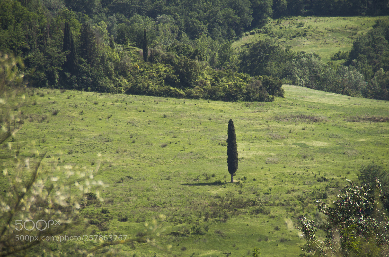 Pentax K-30 sample photo. Solitario photography