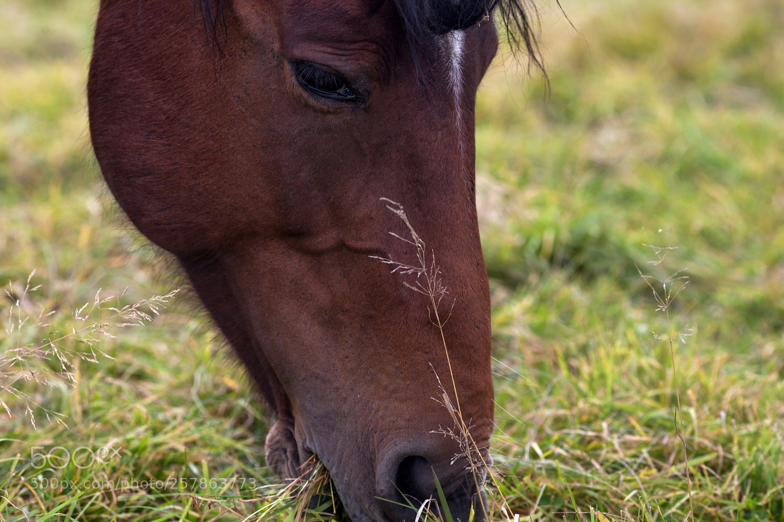 Canon EOS 5D Mark II sample photo. Melancholy portrait of a photography