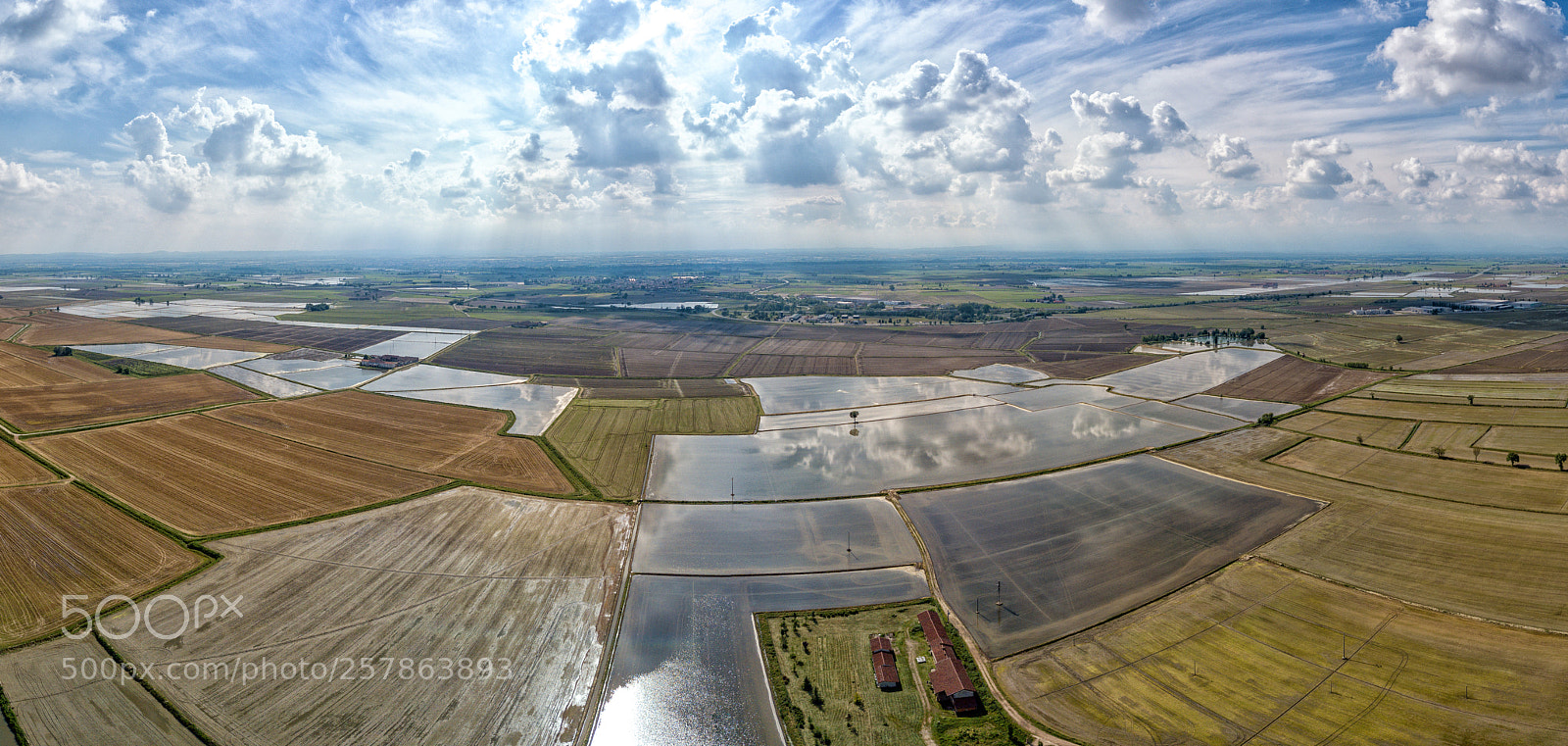DJI FC220 sample photo. Italian rice photography
