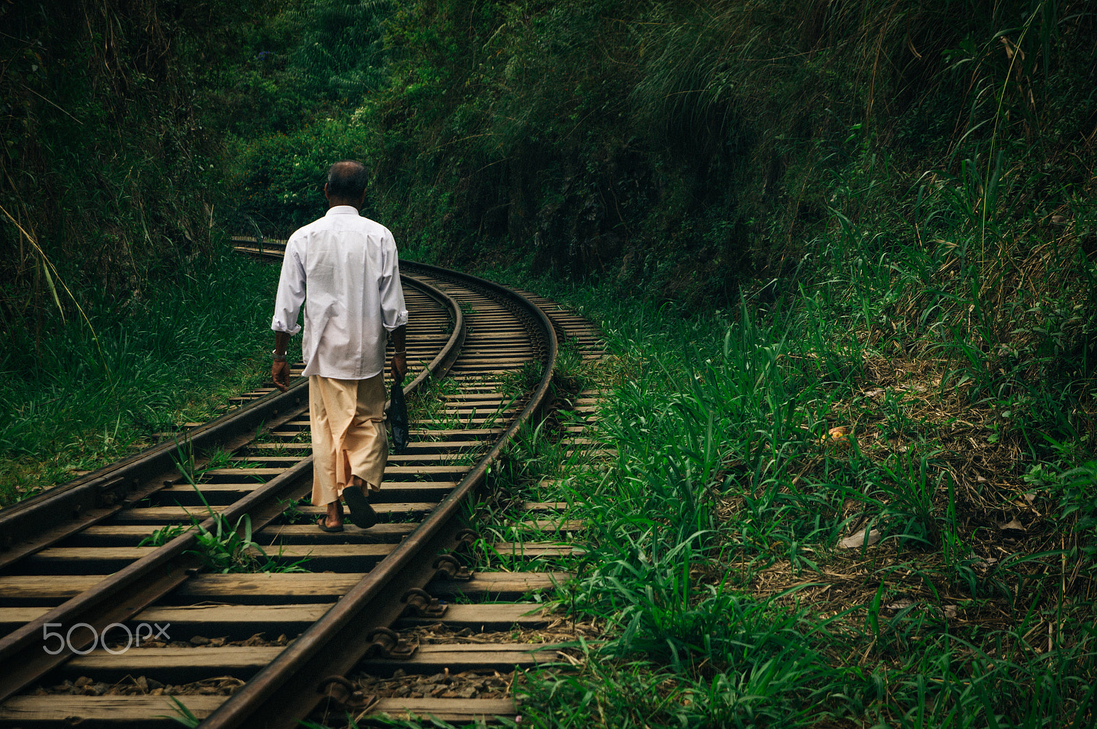 Sony Alpha DSLR-A580 sample photo. Sri lanka photography