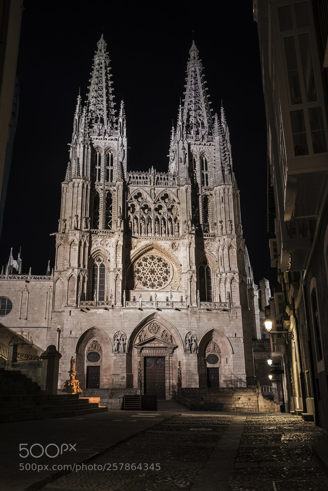 Nikon D800 sample photo. Catedral burgos en la photography