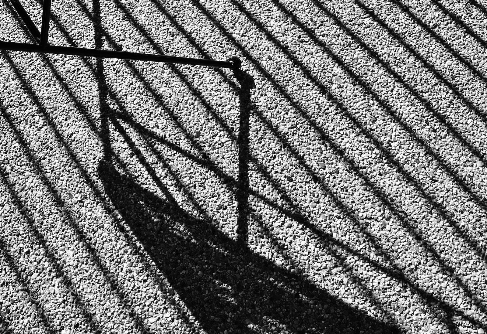 Nikon D5000 sample photo. Frame photography