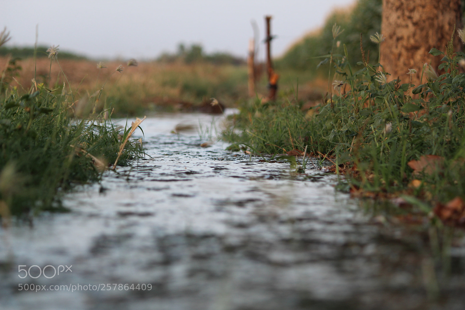 Canon EF-S 55-250mm F4-5.6 IS II sample photo. Untitled photography