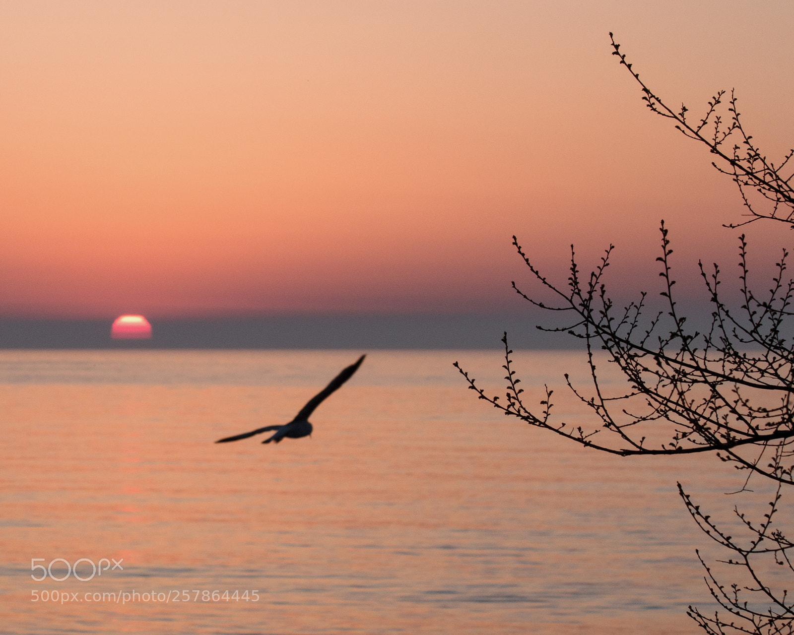 Canon EOS 70D sample photo. Sunrise on lake ontario photography
