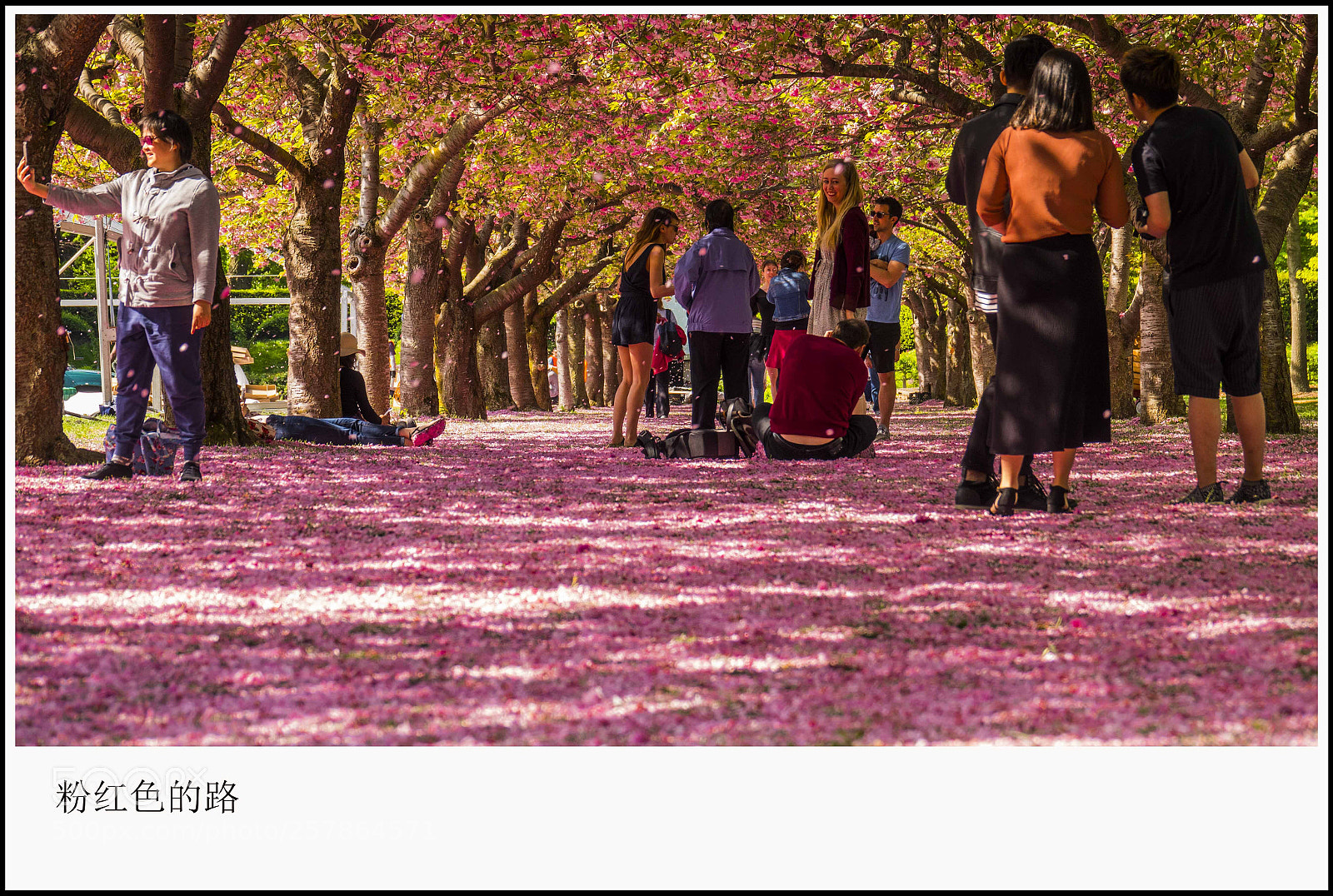 Sony Cyber-shot DSC-RX10 IV sample photo. Pink carpet photography