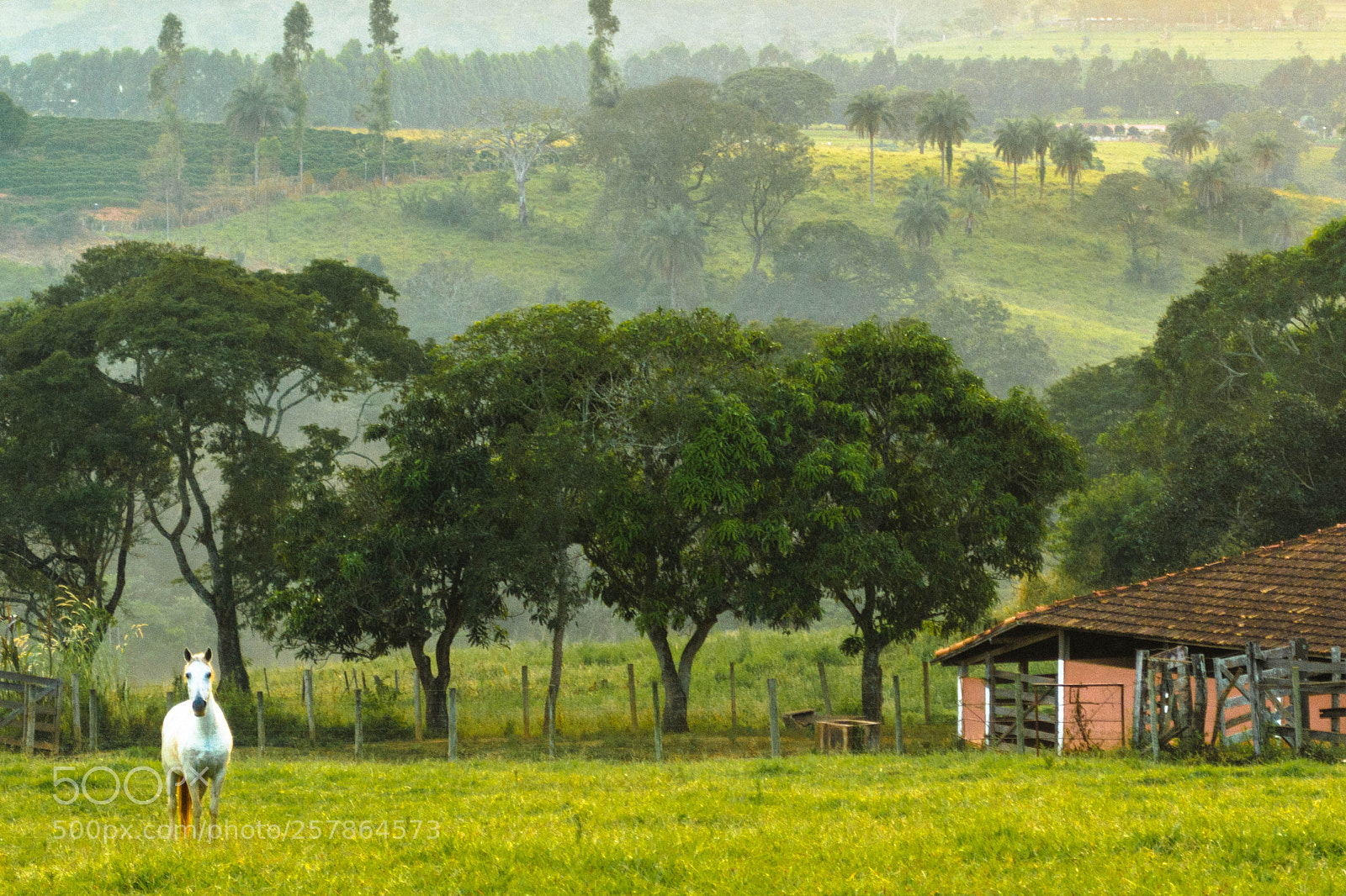 Nikon D5200 sample photo. Morning photography