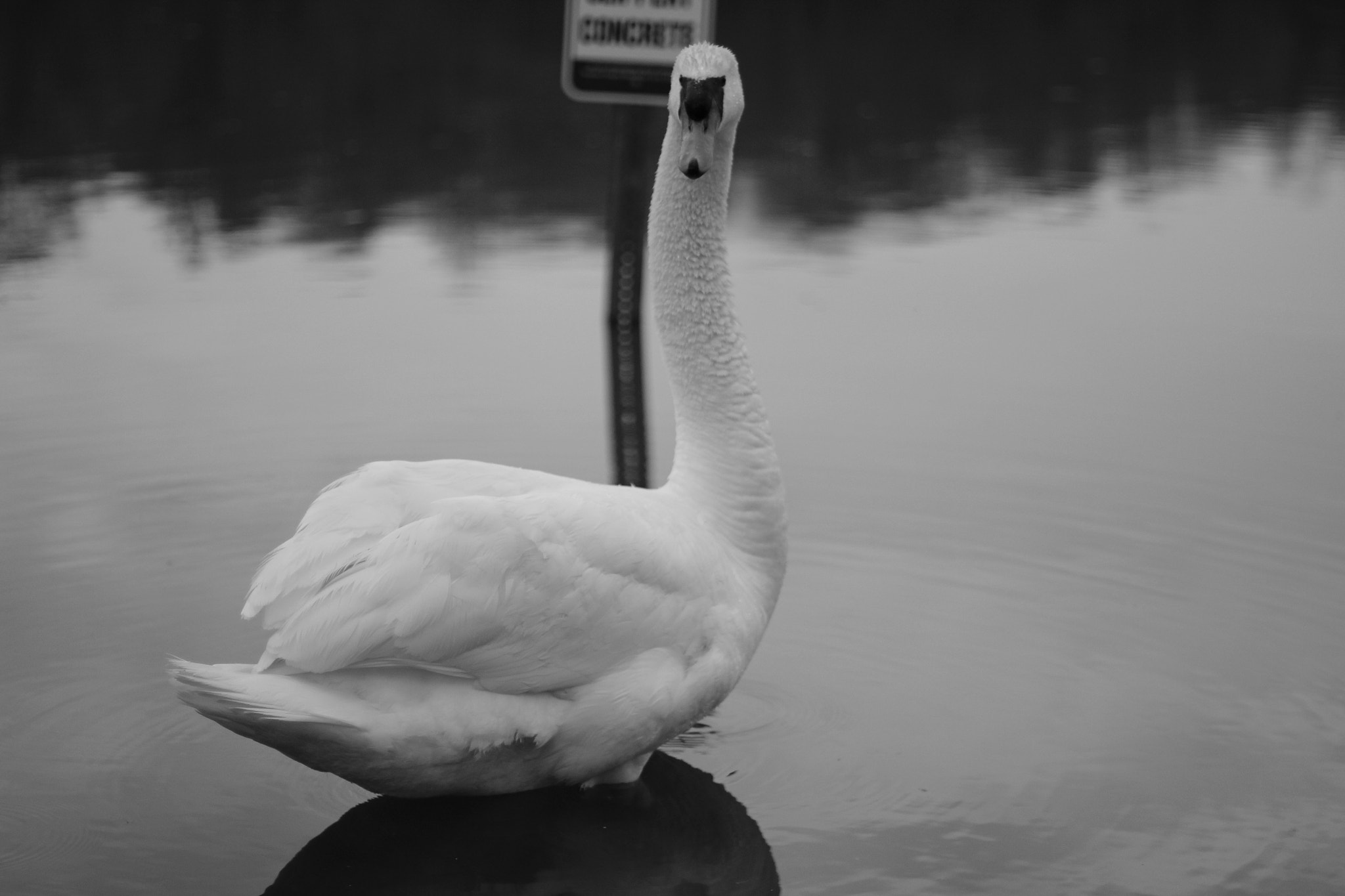 Canon EOS 600D (Rebel EOS T3i / EOS Kiss X5) sample photo. Img photography