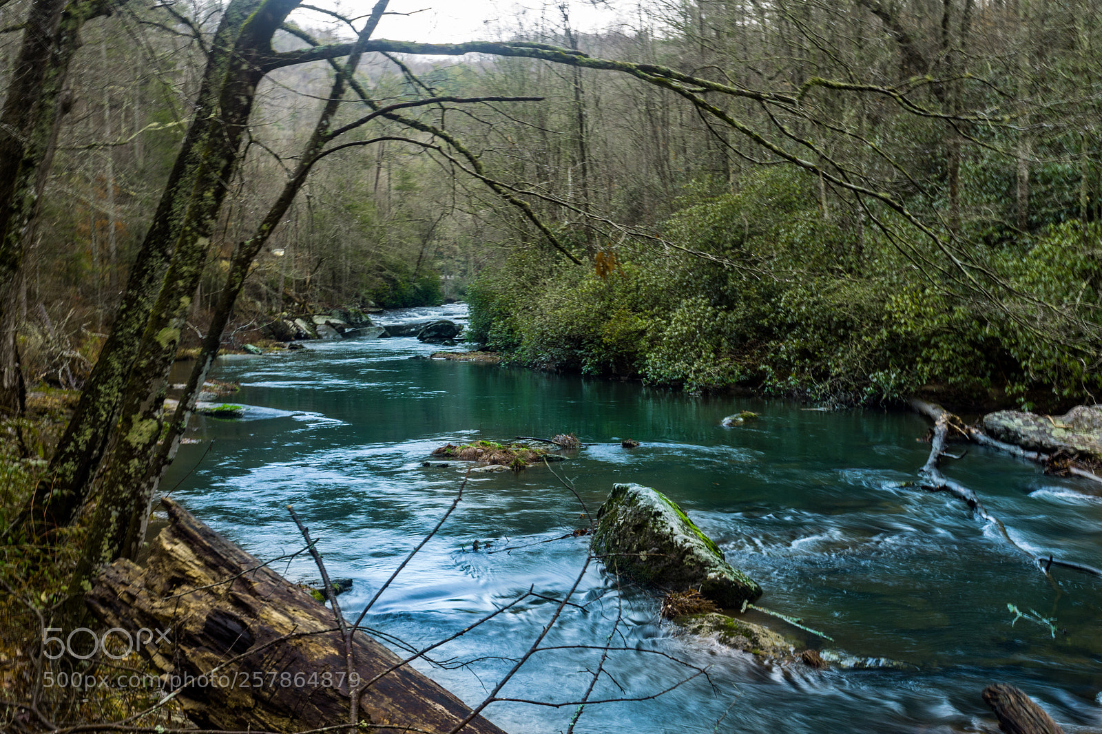Nikon D7200 sample photo. The river photography
