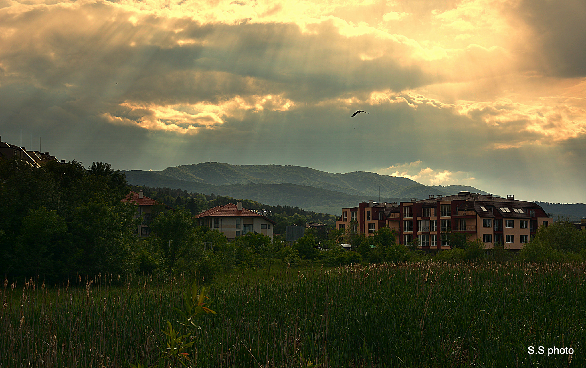 Nikon D7100 sample photo
