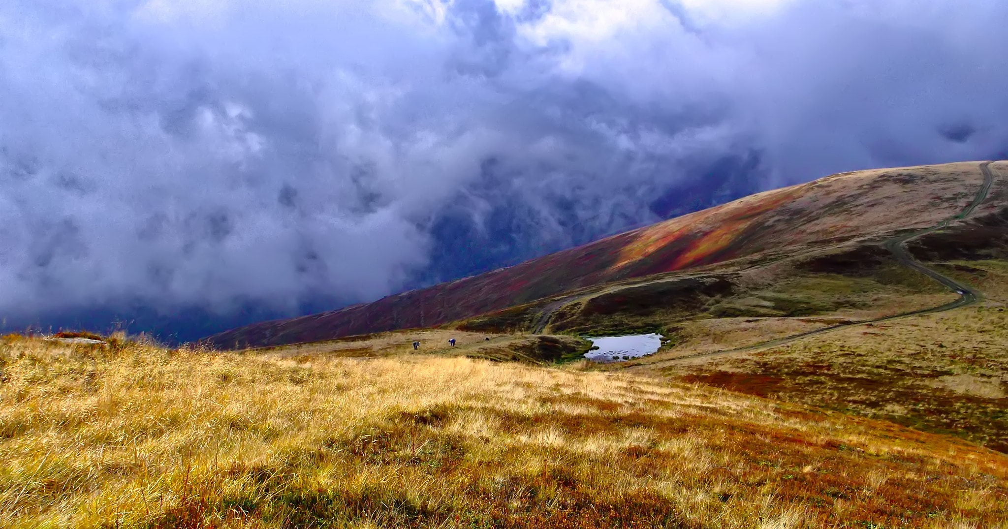 Fujifilm FinePix AX500 sample photo. Ukrainian carpathian mountains photography