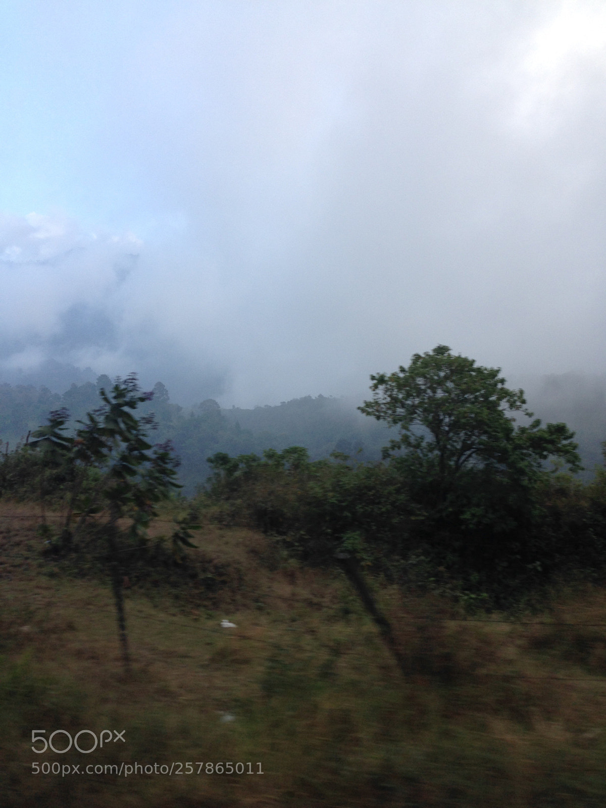 Apple iPhone 5c sample photo. Untitled photography