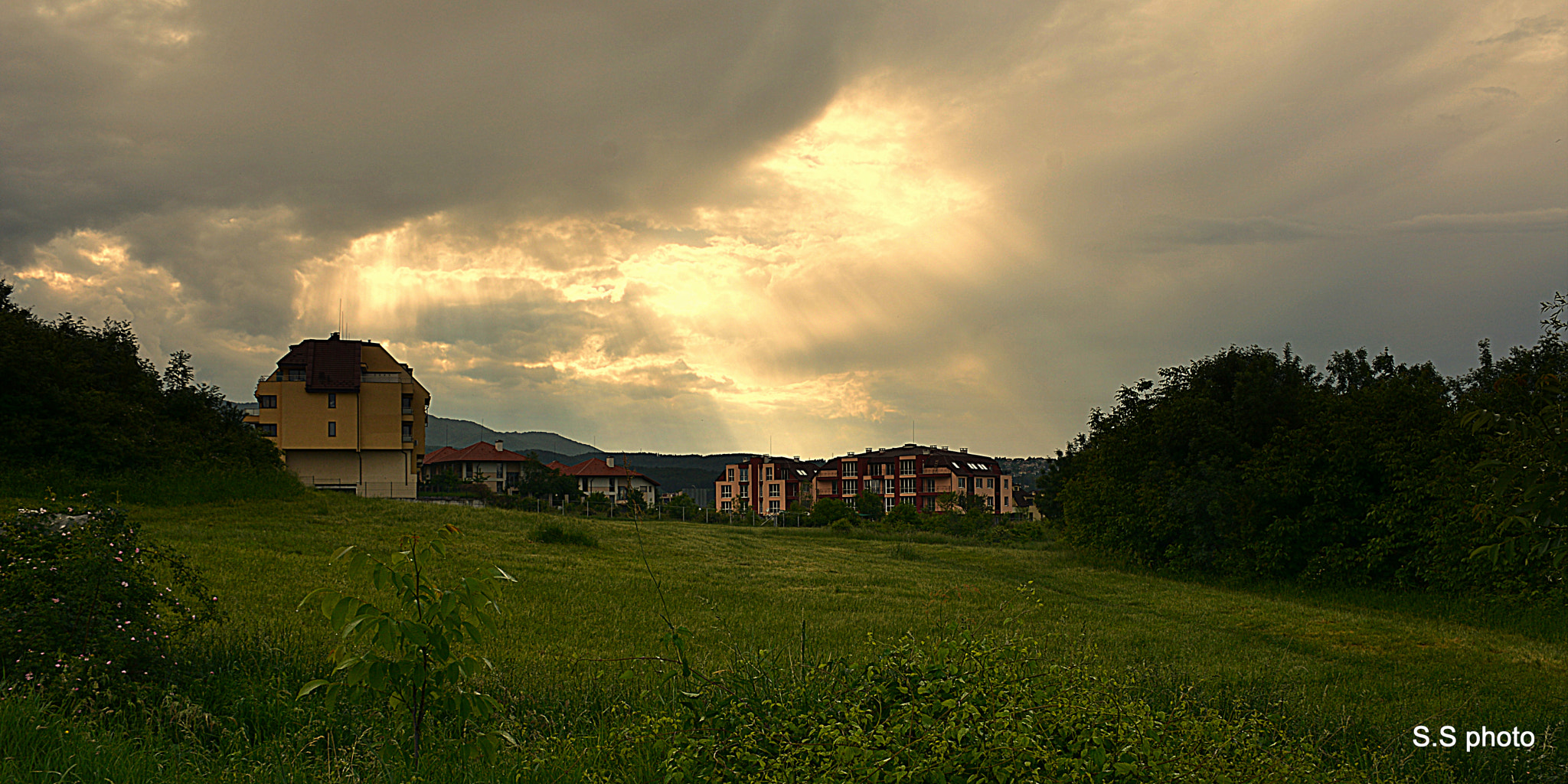 Nikon D7100 sample photo