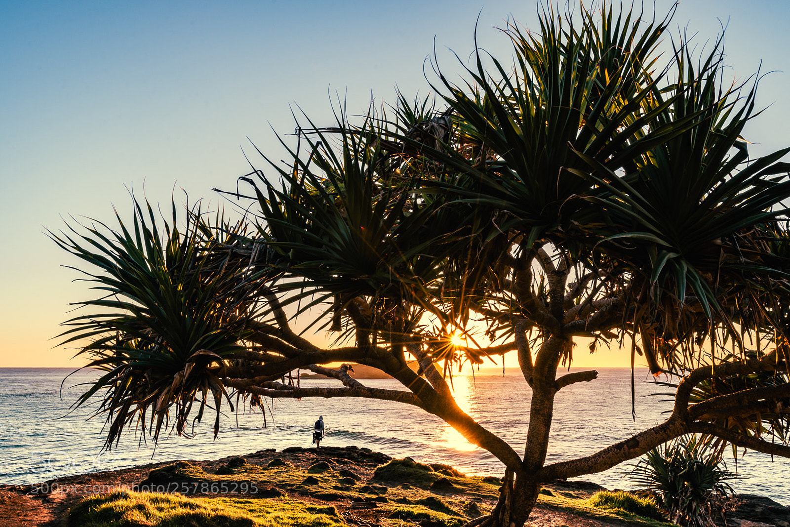 Nikon D7200 sample photo. Fisherman in fingal photography