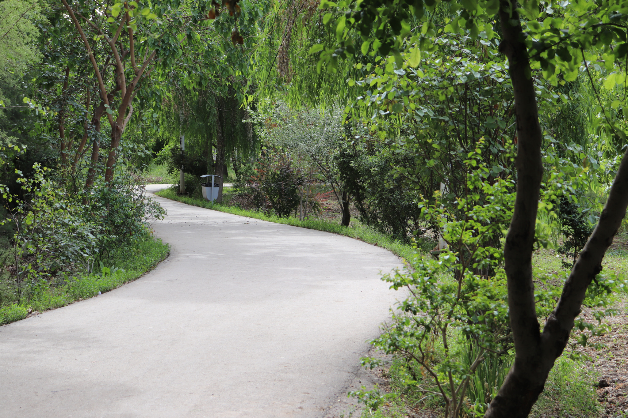 Canon EOS 77D (EOS 9000D / EOS 770D) sample photo