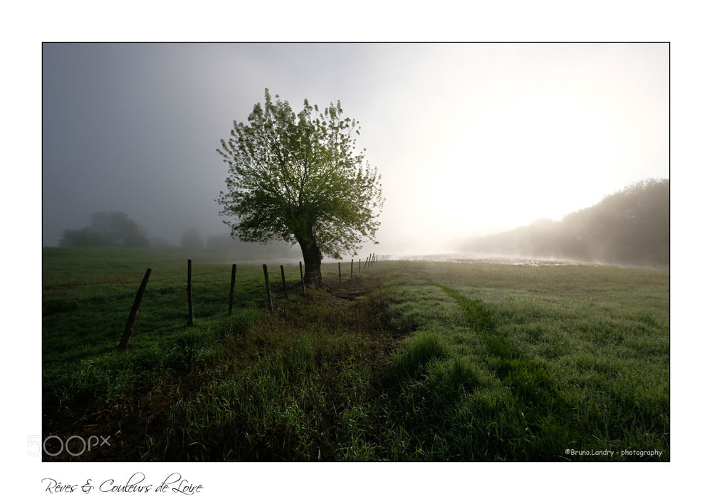 Fujifilm X-T20 sample photo. Nature & beauté photography