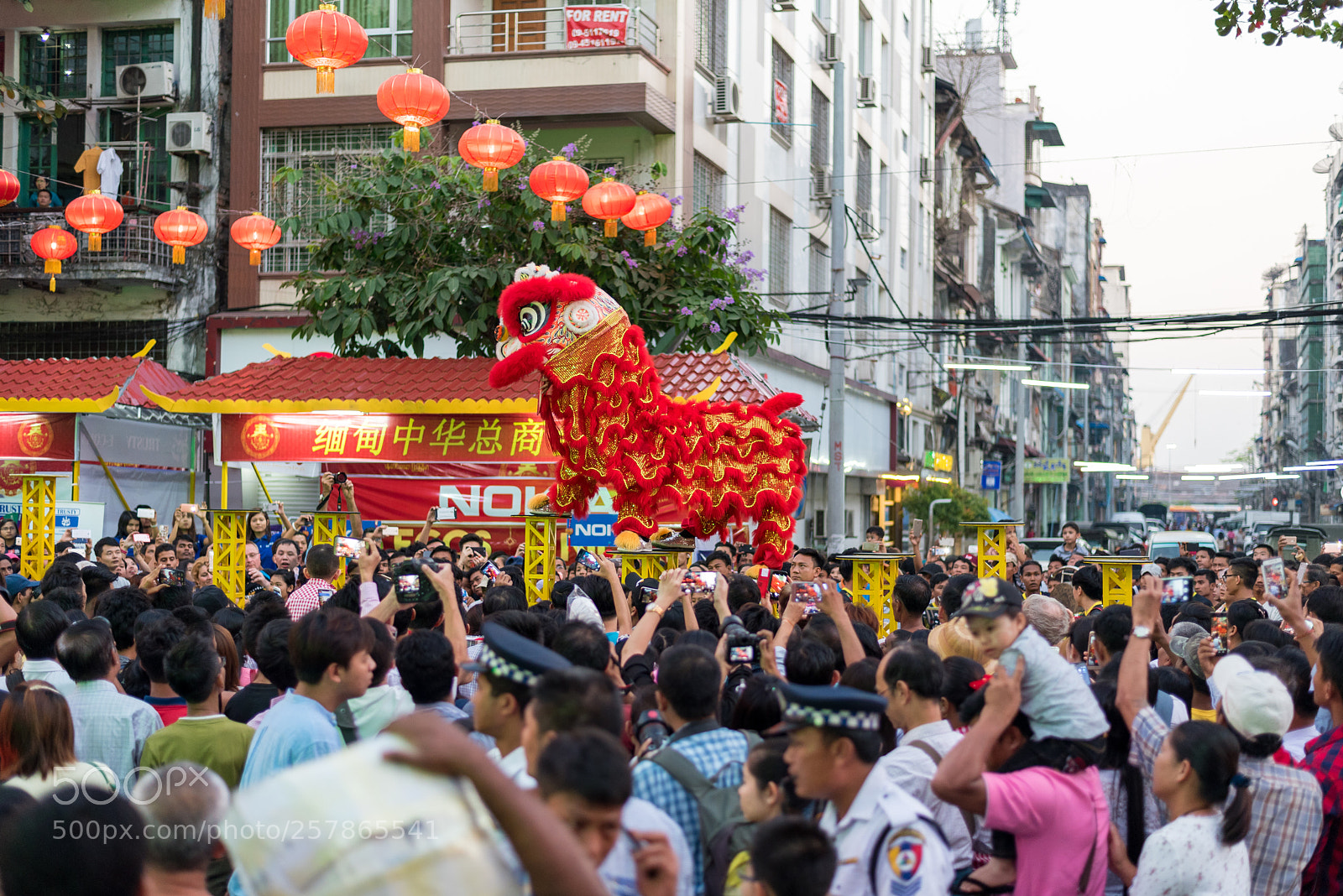 Nikon D750 sample photo. Red dragon photography