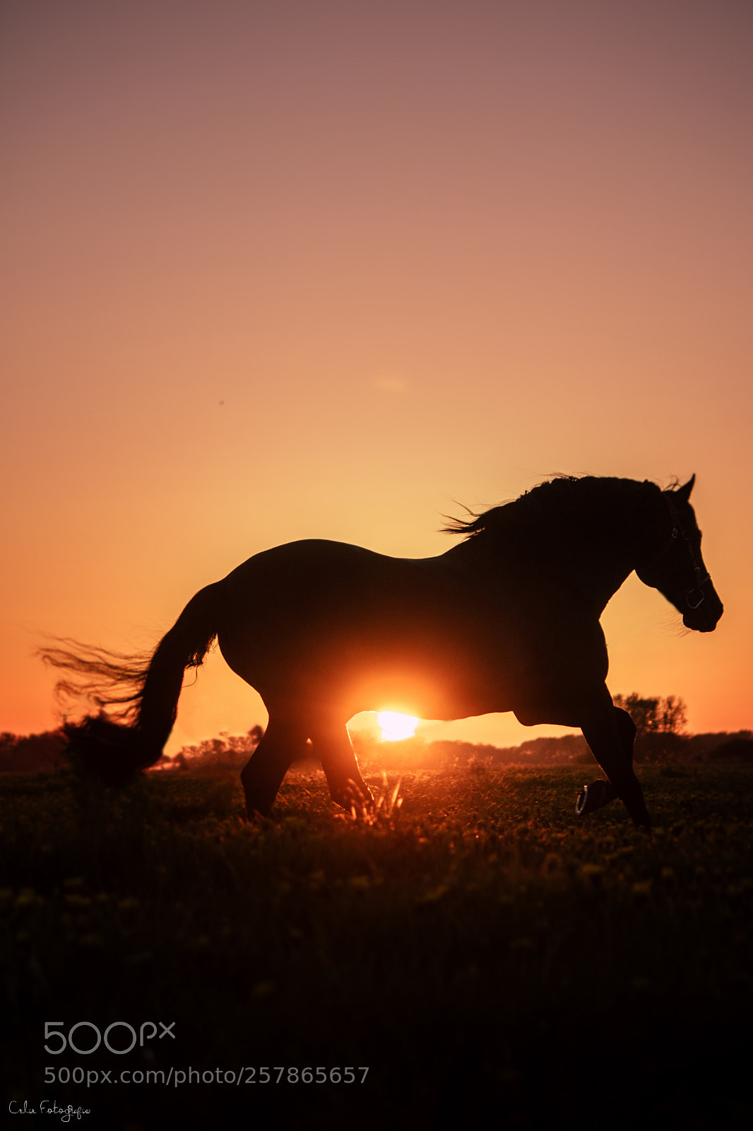 Canon EOS 750D (EOS Rebel T6i / EOS Kiss X8i) sample photo. Sunset photography