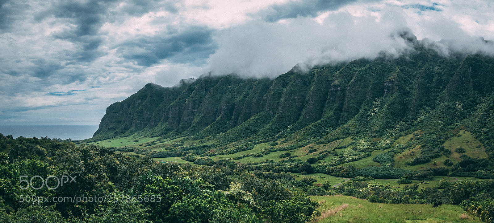 Leica D-Lux (Typ 109) sample photo. Kualoa photography