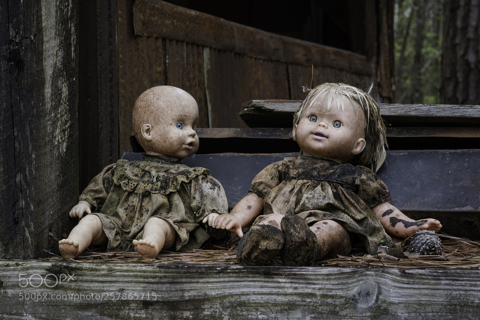 Nikon D850 sample photo. Silent conversation... photography