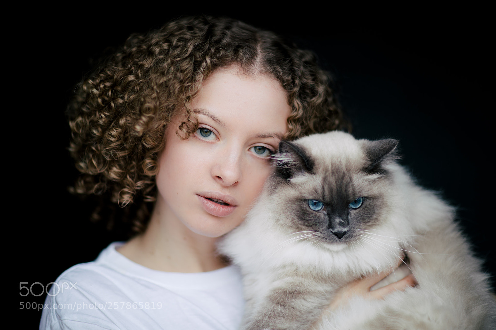 Canon EOS 5D Mark IV sample photo. Nya photography