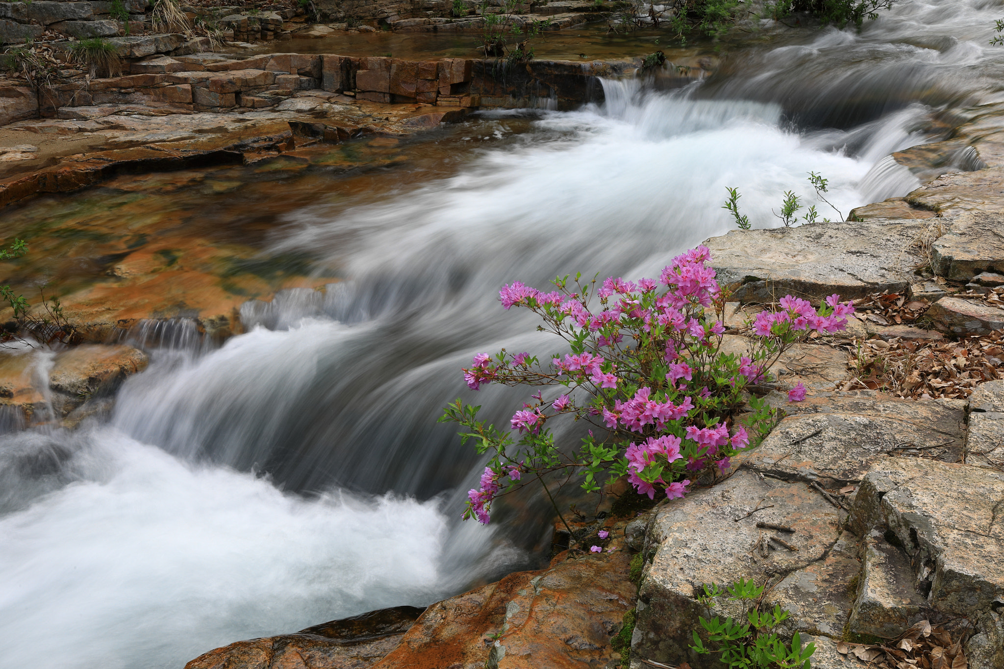 Canon EF 17-40mm F4L USM sample photo. Water flow photography