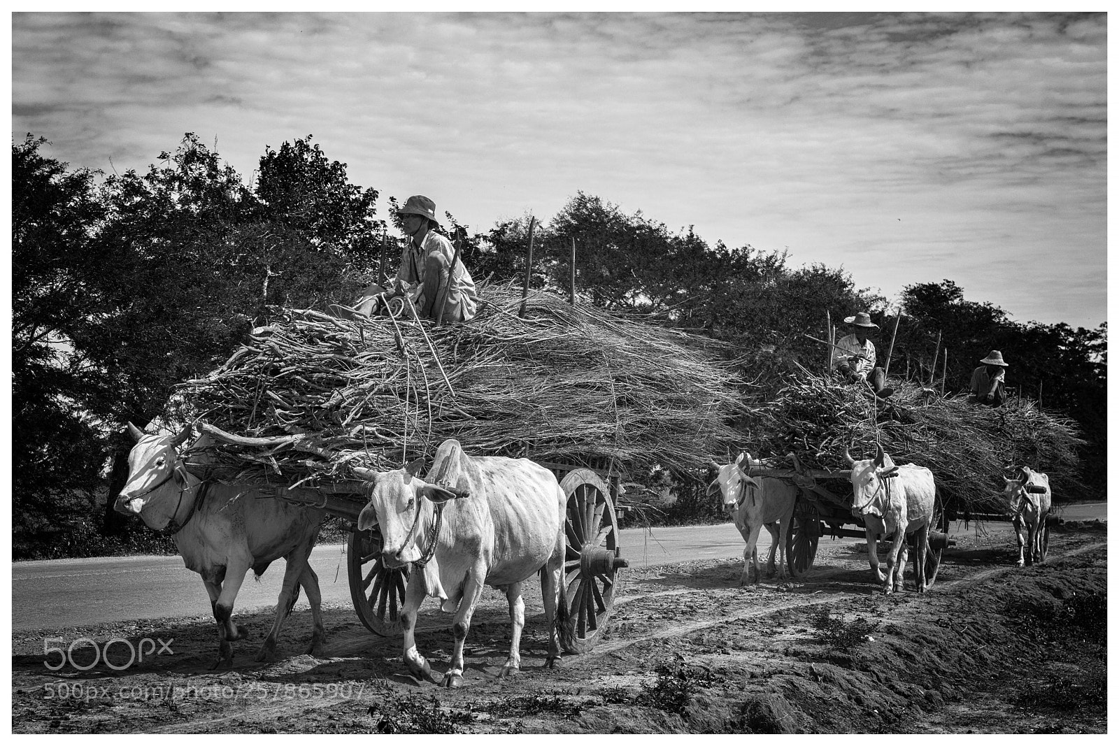 Nikon D800 sample photo. Myanmar countryside traffic photography