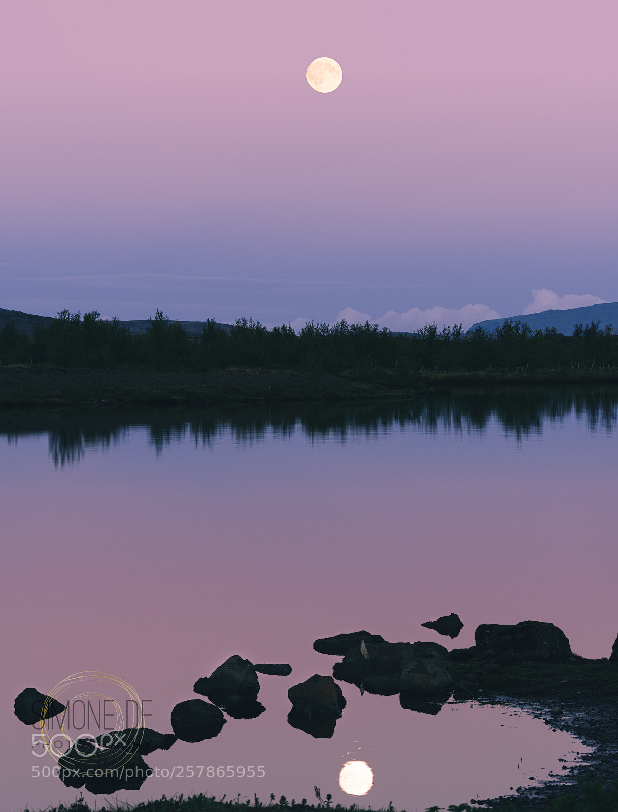 Sony a7R II sample photo. Pink 3 photography