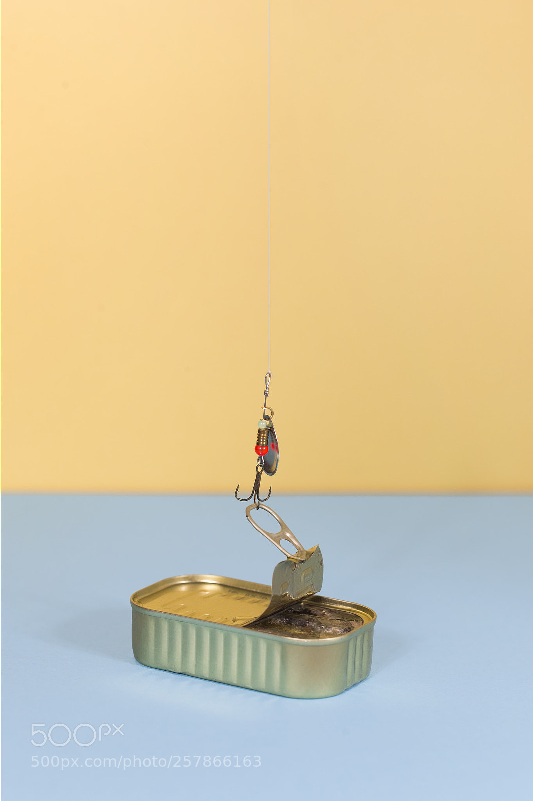 Canon EOS-1D X sample photo. Fishing in a tin photography