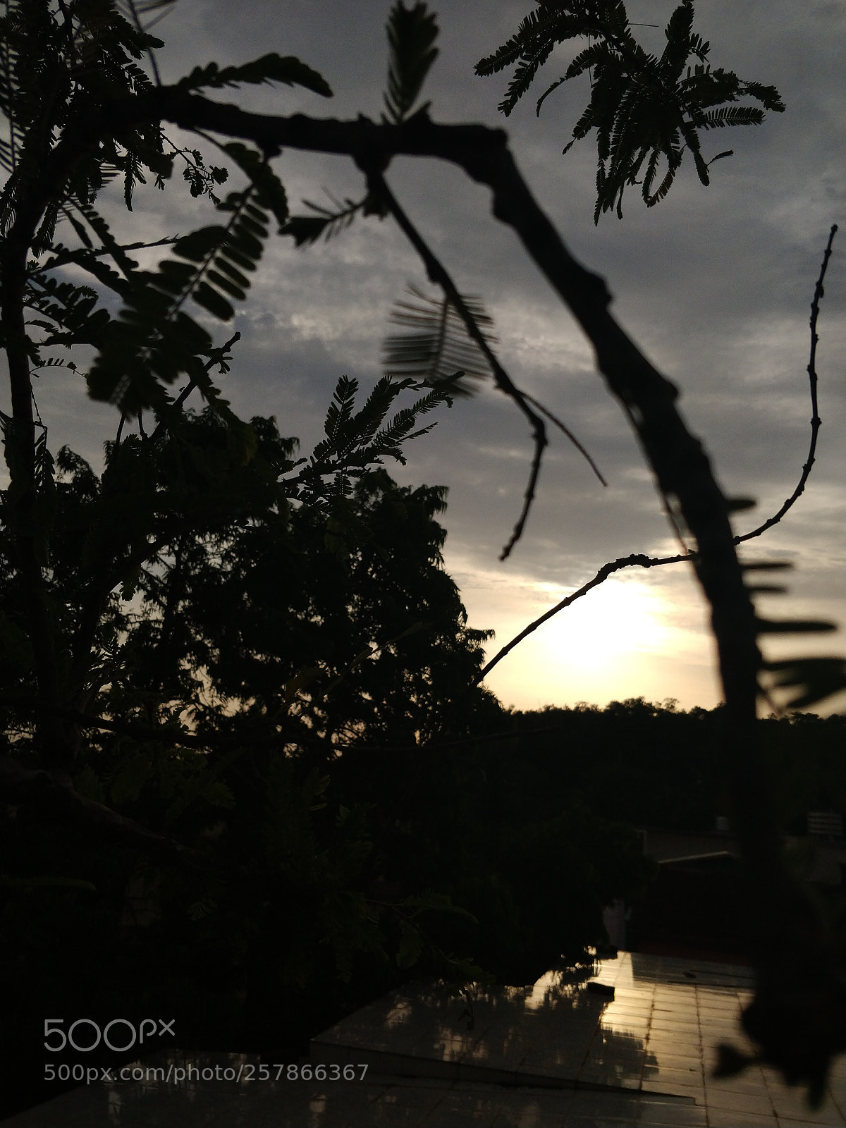 OnePlus 5T sample photo. Untitled photography