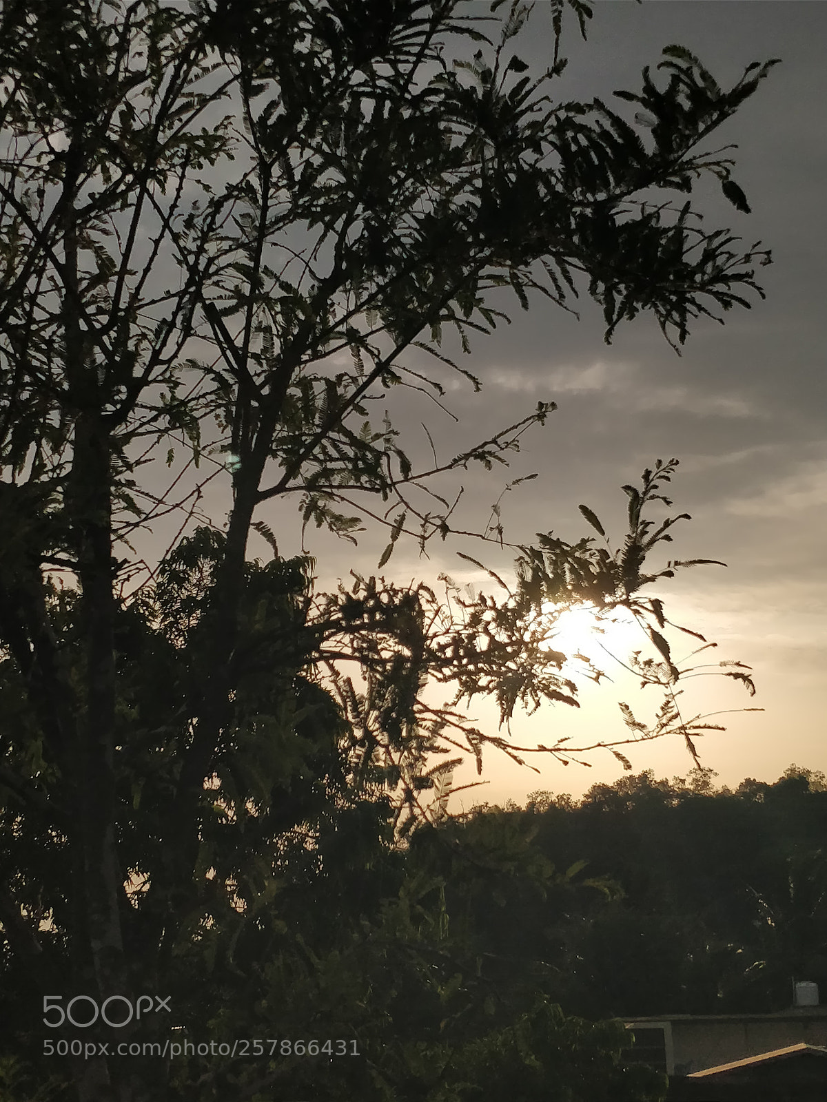 OnePlus 5T sample photo. Untitled photography