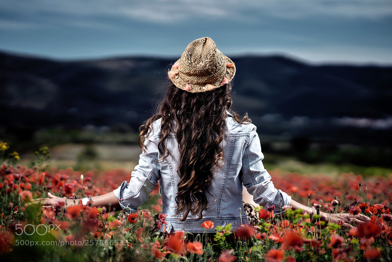Sony a7R II sample photo. Untitled photography