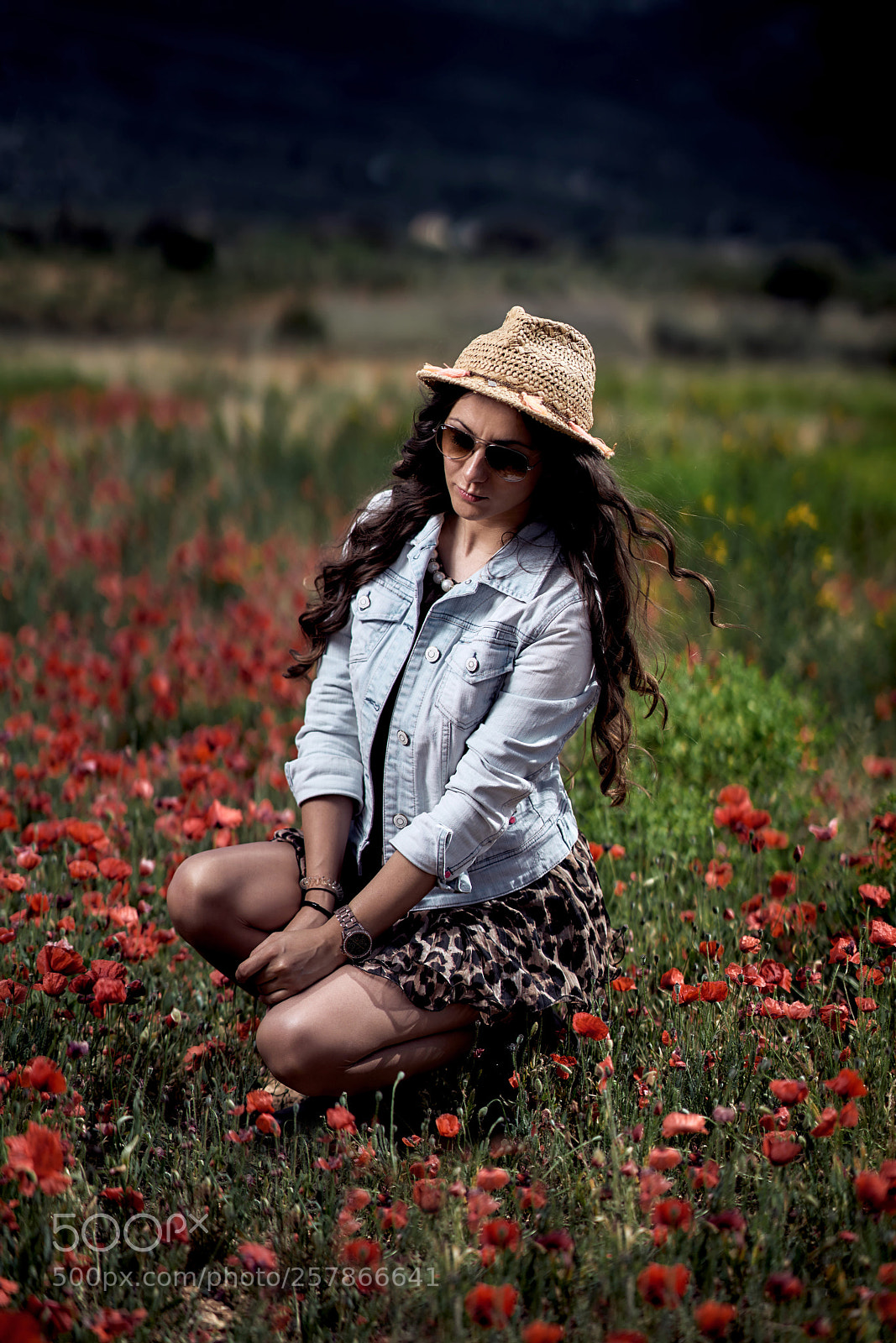 Sony a7R II sample photo. Untitled photography