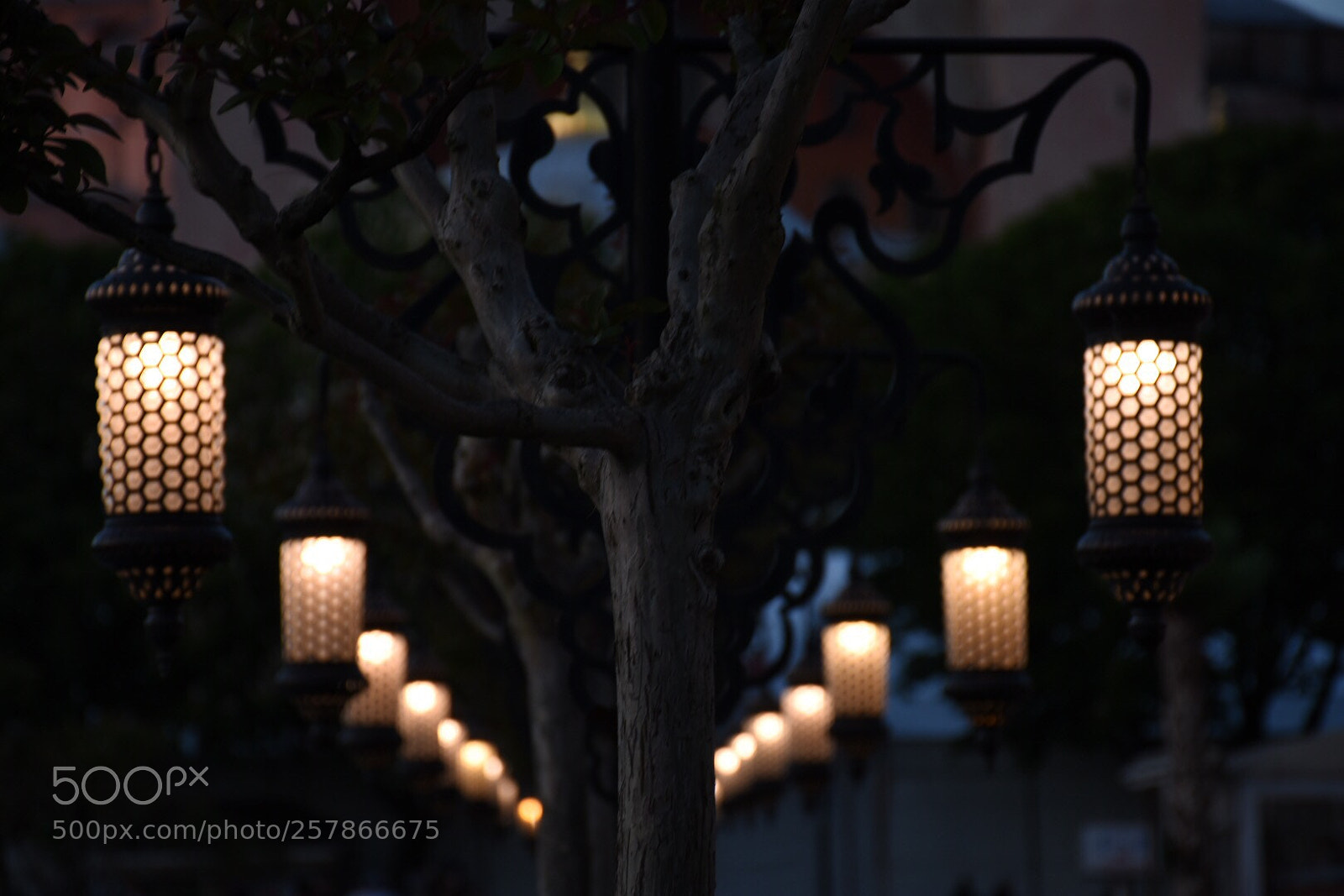 Nikon D7200 sample photo. Let the lights on photography