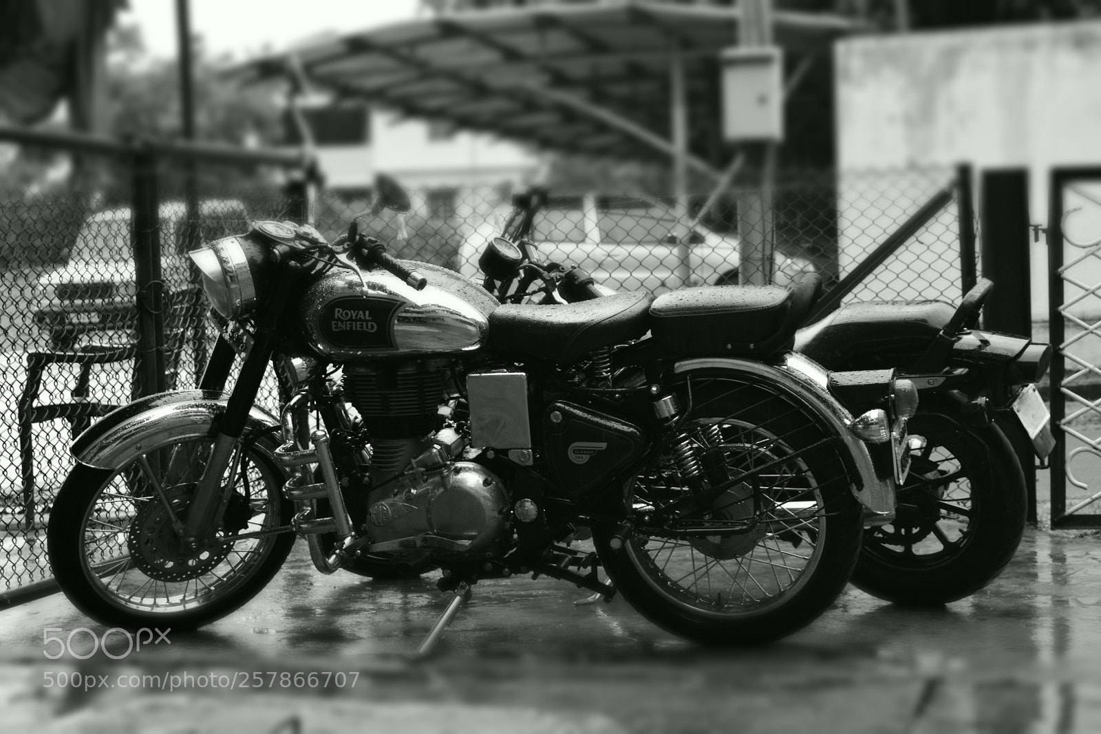 Nikon D5500 sample photo. Untitled photography