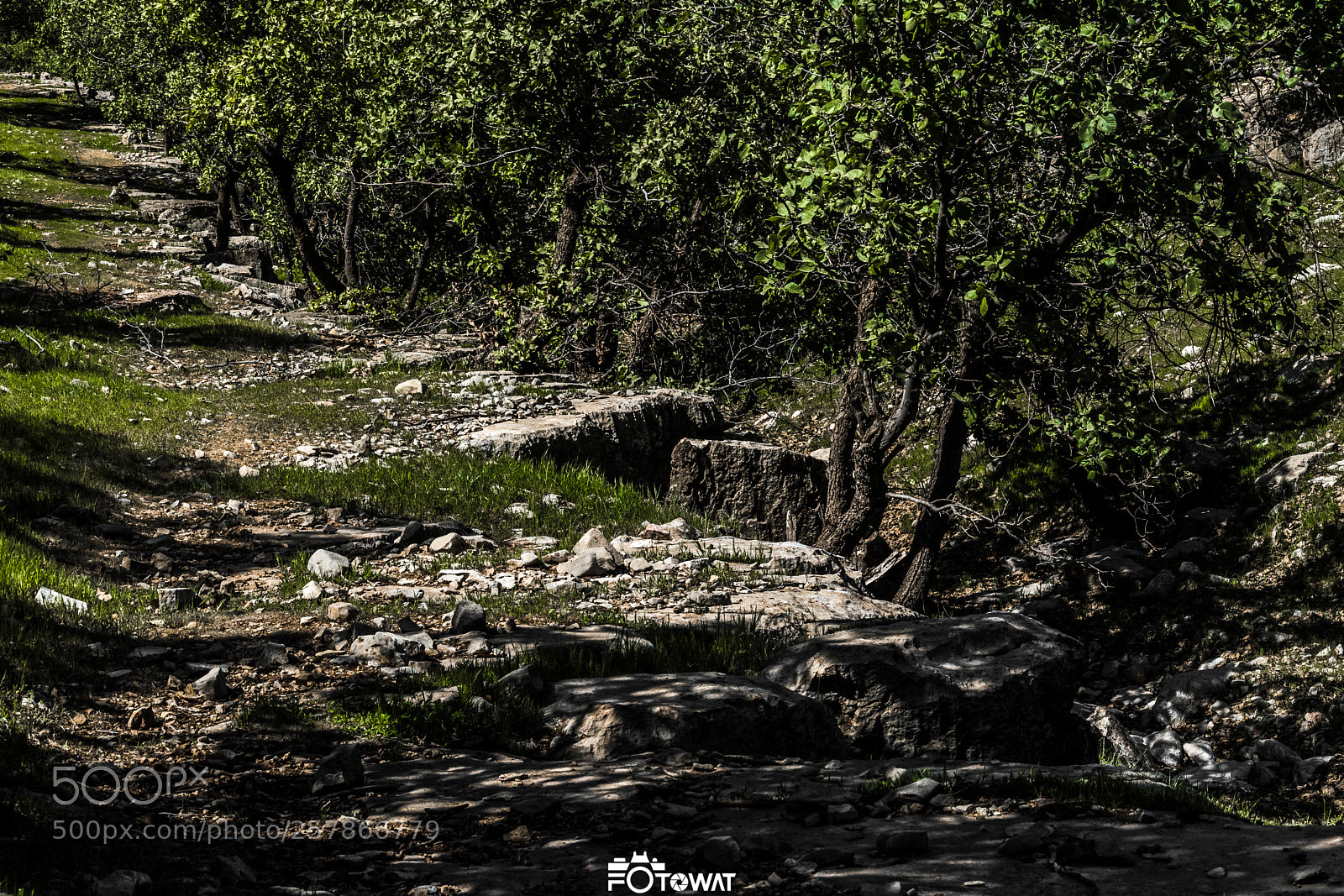 Nikon D5500 sample photo. Untitled photography