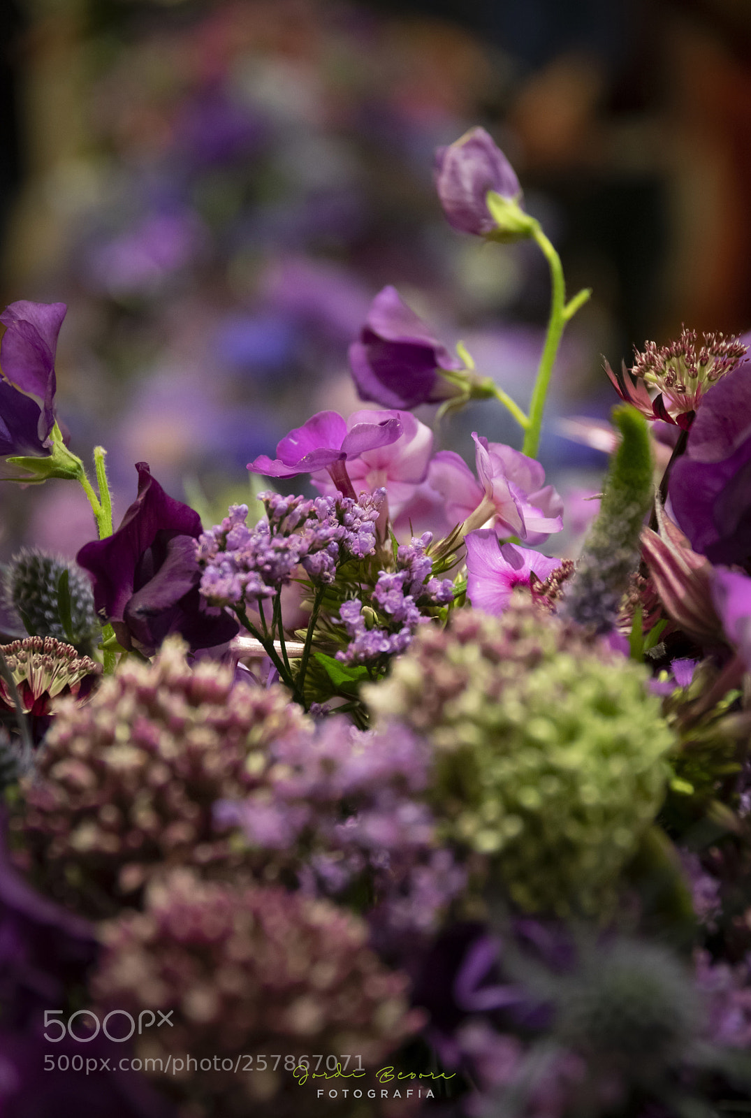 Nikon D5300 sample photo. Girona temps de flors photography