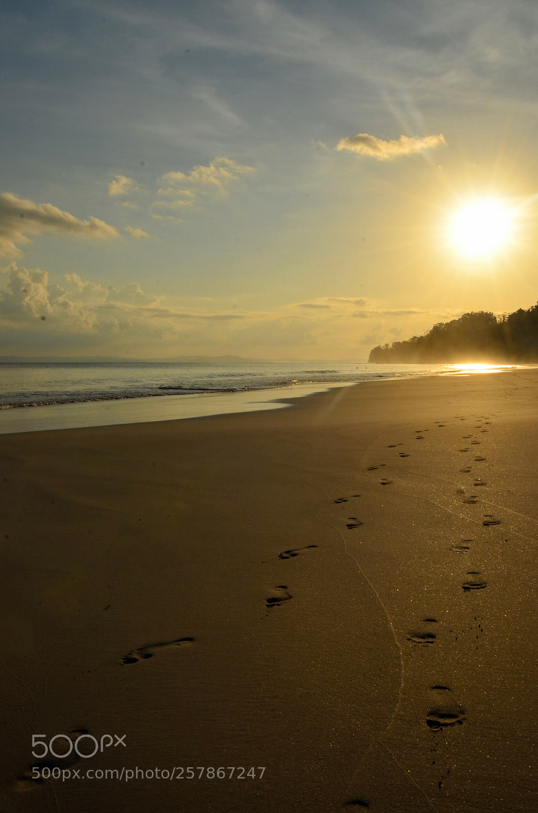 Nikon D7000 sample photo. Walk with me... photography
