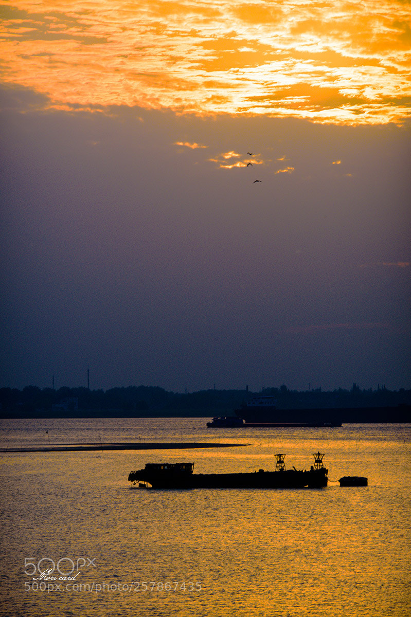 Nikon D750 sample photo. 2.jpg photography