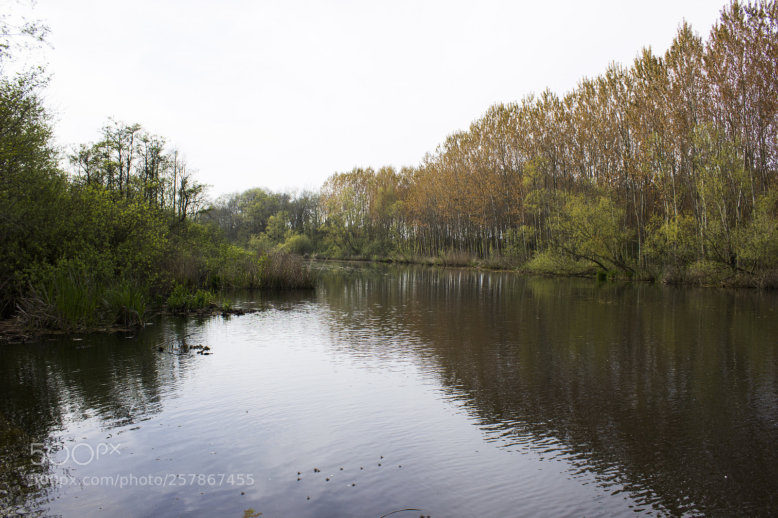 Canon EOS 600D (Rebel EOS T3i / EOS Kiss X5) sample photo. Nature photography
