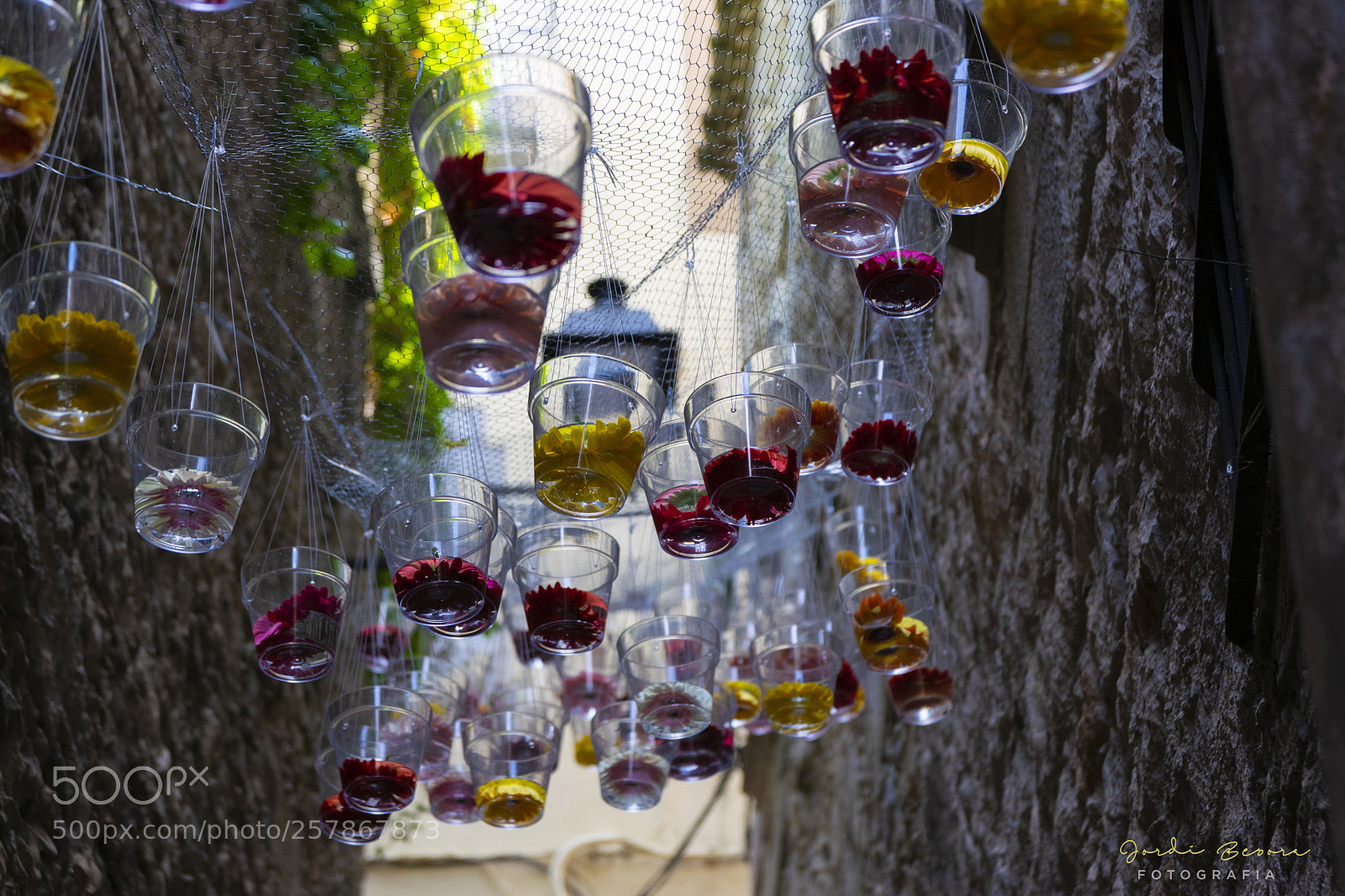 Nikon D5300 sample photo. Girona temps de flors photography