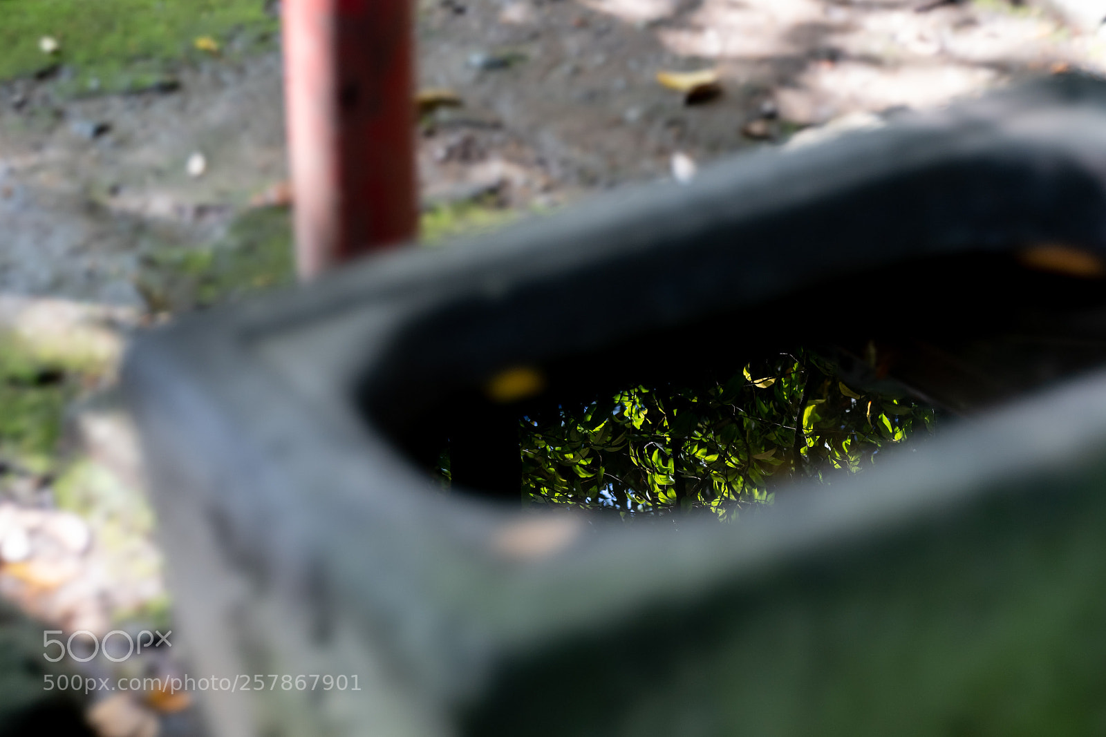 Sony a7 III sample photo. Edit photography